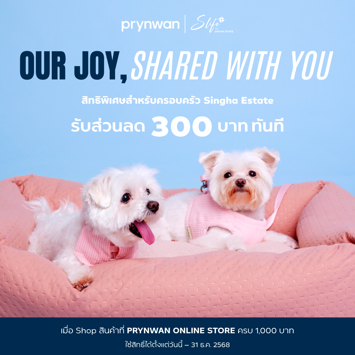 𝑺 𝑳𝒊𝒇𝒆 มอบสิทธิพิเศษ 𝐏𝐑𝐘𝐍𝐖𝐀𝐍 𝐏𝐞𝐭𝐬
📍𝐎𝐧𝐥𝐢𝐧𝐞 𝐒𝐭𝐨𝐫𝐞 > slife.onelink.me/oqy7/j3h39p57
📍𝐏𝐞𝐭𝐬 𝐒𝐭𝐨𝐫𝐞 > slife.onelink.me/oqy7/602vdw6d

#SinghaEstate #EnrichingLife #SLife #SKLAS #MemorableExperience #PRYNWANPets