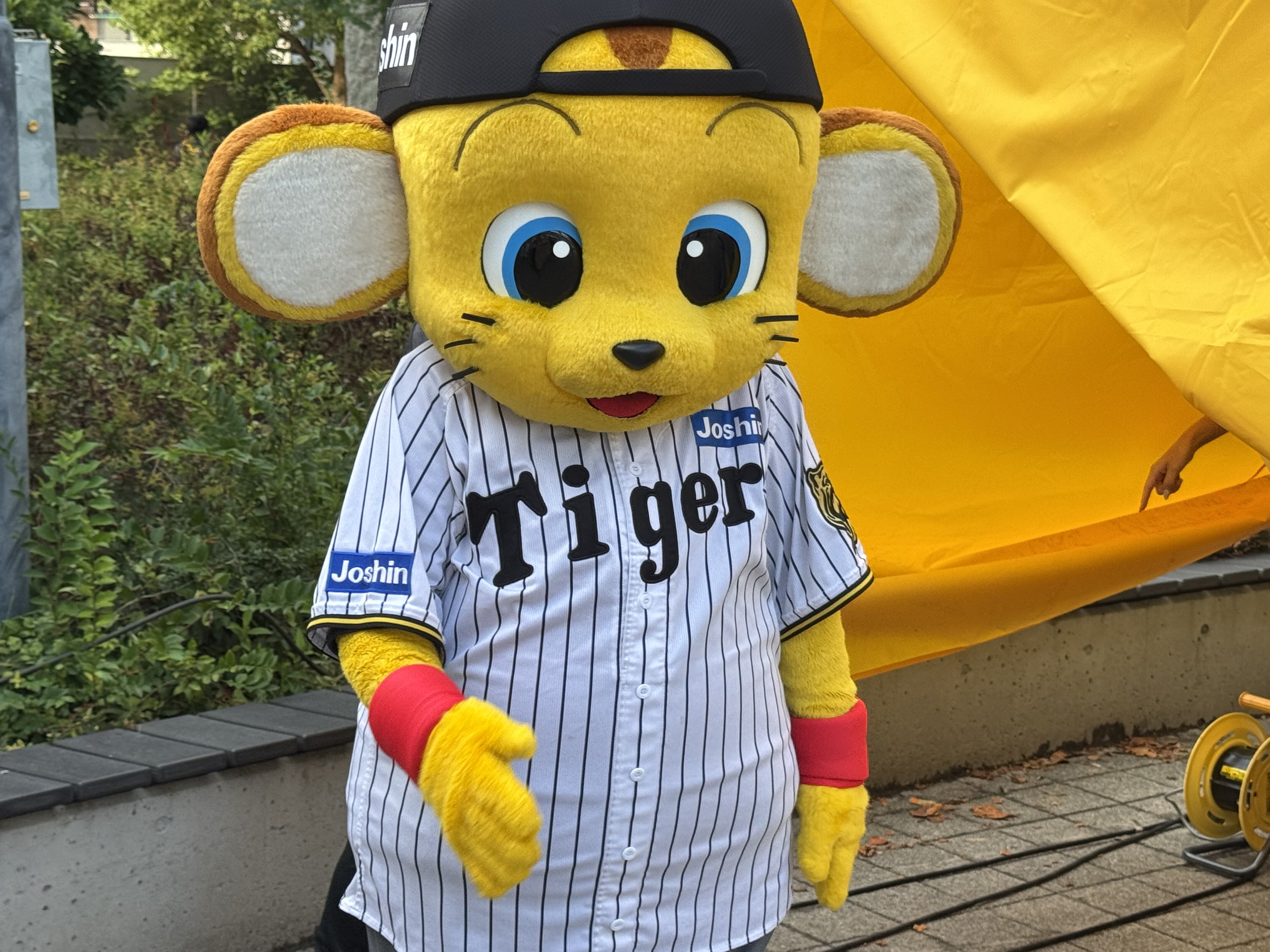 超レア!VHSビデオ タイガースの逆襲 優勝記念ビデオ 阪神タイガース優勝記念ビデオ やったで！優勝や！史上最強の