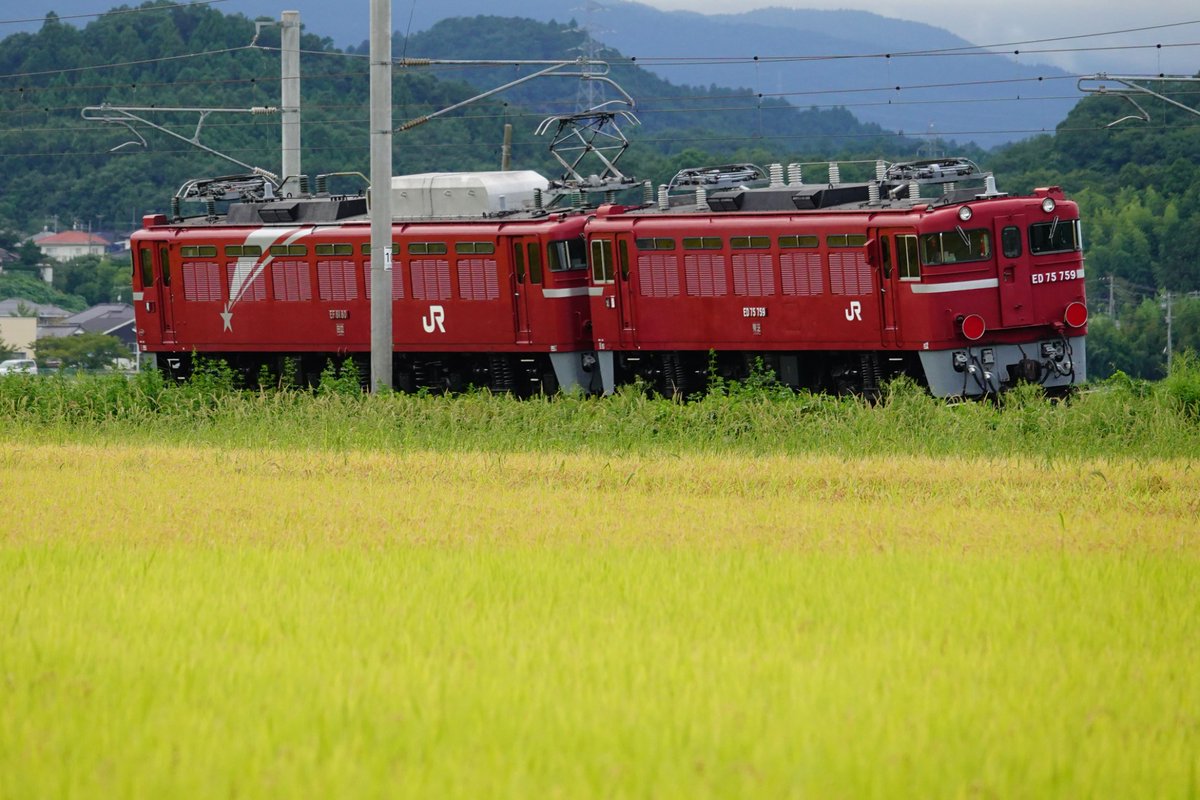 ED75形形式消滅、仙台発のラストラン