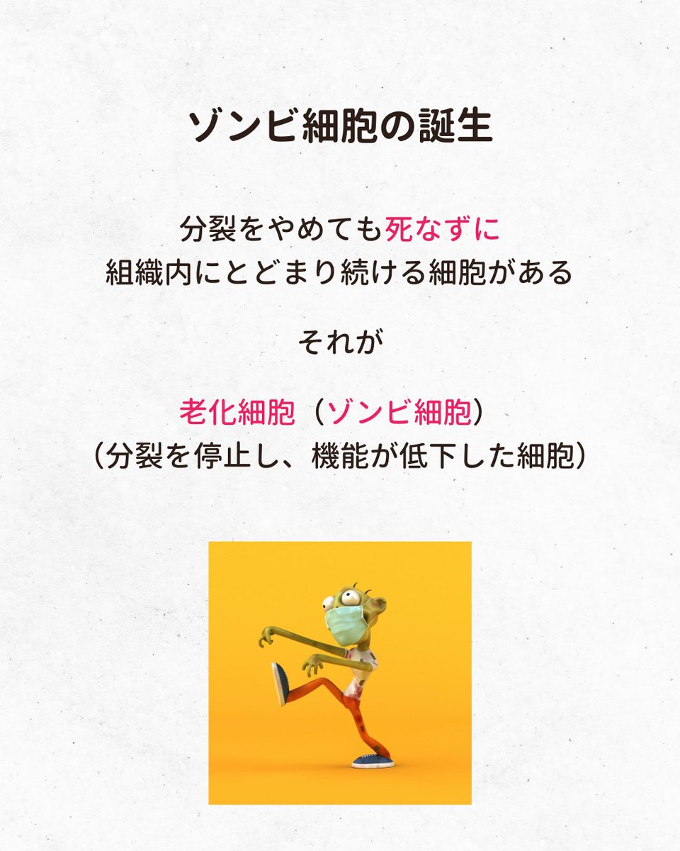 TAKEDAbeautyCL's tweet image. この現象は、皮膚においてはシミ・肝斑・たるみなどの肌トラブルを引き起こすので、美容医療の分野でもこのところ非常に注目されています。

もっと詳しくInstagramでご紹介してます。

#ゾンビ細胞
#老化細胞
#SASP