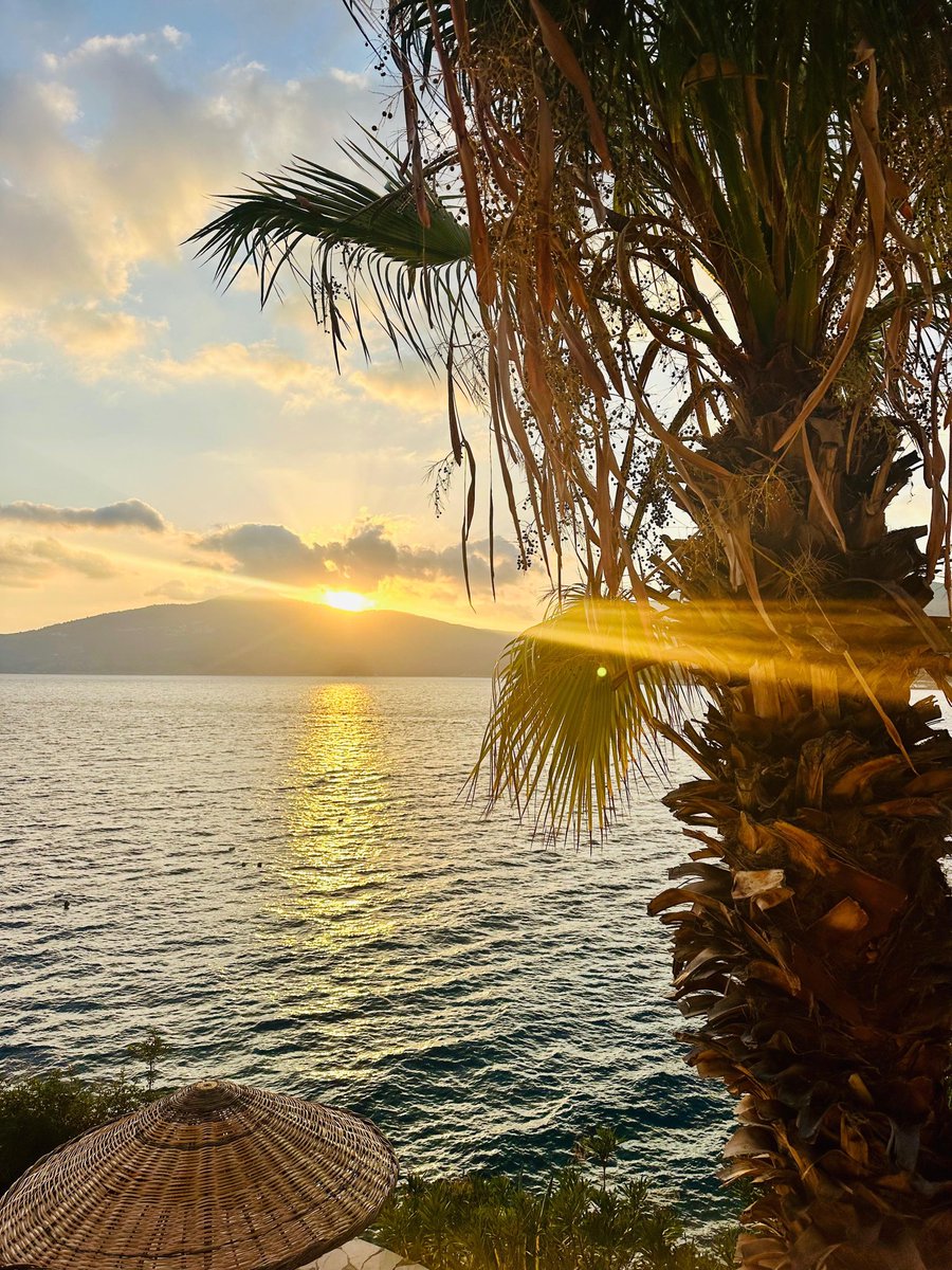 PataraPrince's tweet photo. ✨ Gün batımının en güzel tonlarını keşfetmeye ne dersiniz?
Denizin huzuruna, palmiye gölgesine ve altın sarısı ışıklara kendinizi bırakın. 🌅💛

#SarınınBüyüsü #DenizVeGünBatımı #pataraprince #kalkan #antalya #hotel #sarıyaz #sunset #mediterranean #eylül #september https://t.co/Gs2CvQdmfo