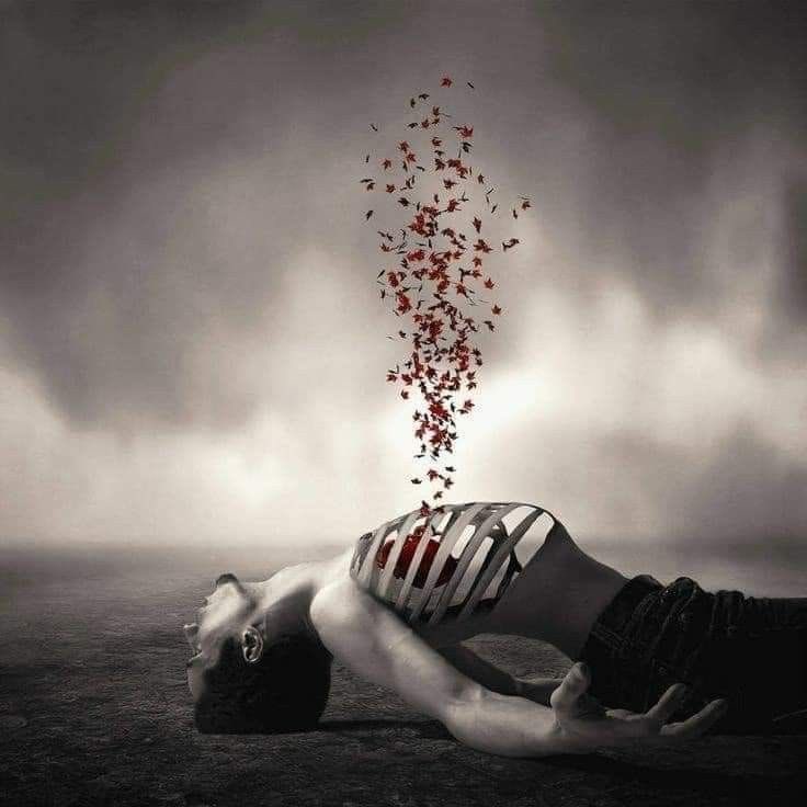 the unbearably
bearable memories
take root in the ribs,
feeding on pain
to stay green. 

teaching you
what must be borne
becomes bearable,
even acceptable,
with  the flow
of time.
🖤
#ωнιѕρєяѕ

#vss365 #bearable #Firewriters35