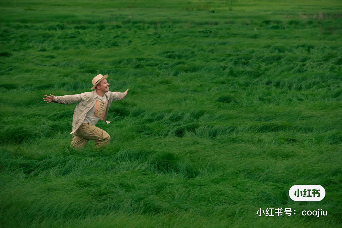 草海又出现啦