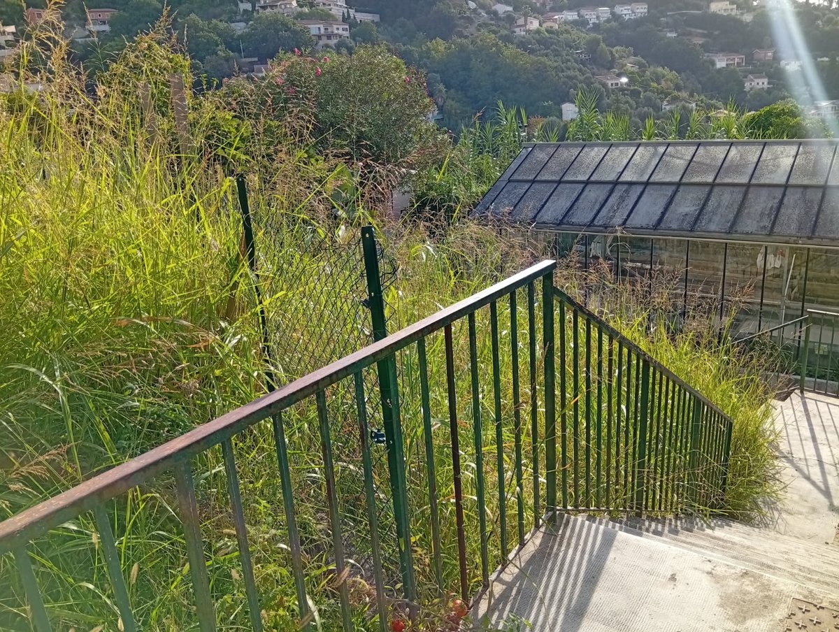 CollegeVento's tweet photo. C'est la rentrée! Opération nettoyage à l'atelier #horticulture de la #segpa.
Entretenir les terrains permet de faire un geste utile pour l'#environnement.
Bravo les élèves et leur professeur !
@Academiedenice
@villedementon @AlpesMaritimes https://t.co/59R0Vbnzd3