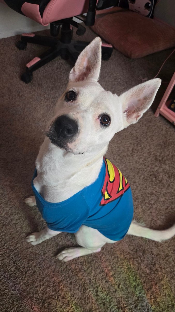 Glamerina Lune 🌙 Moon Princess tweet media