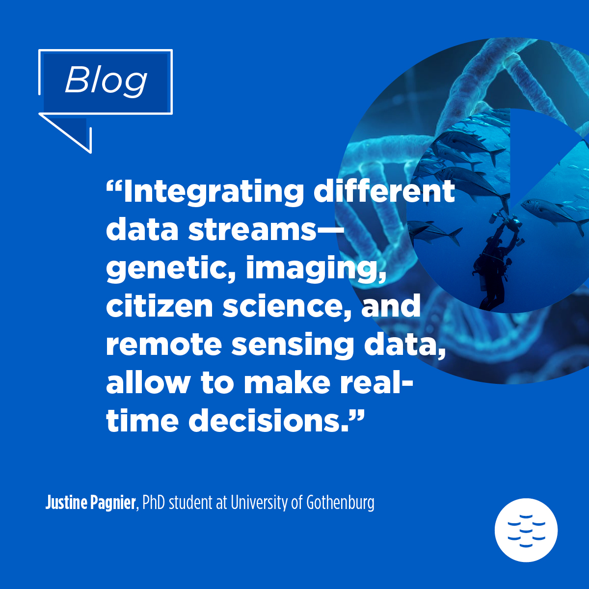 EMBRC_EU's tweet image. #EMBRCBlog | 👉 #InvasiveSpecies 

🔵 New tech is making it easier to explore &amp;amp; monitor ocean ecosystems, but it floods us with data. 

💬“The new challenge is how to efficiently process it all,” Justine Pagnier, University of Gothenburg.

🔗 Read: embrc.eu/marine-monitor…