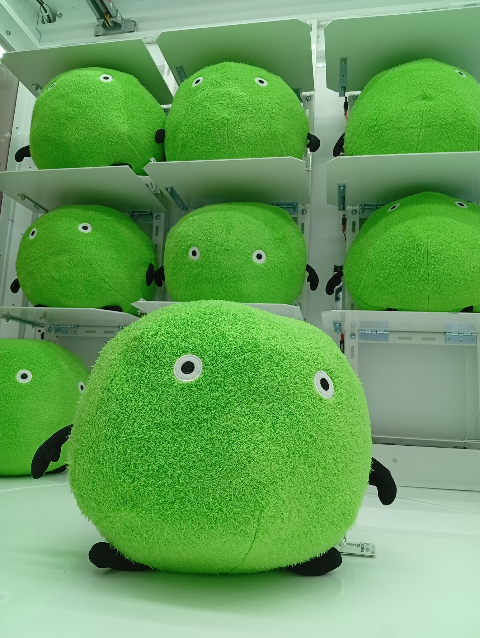 MeseMoa. 二番煎じ　ぬいぐるみ MeseMoa. めせもあ。 二番煎じ ぬいぐるみ - メルカリ