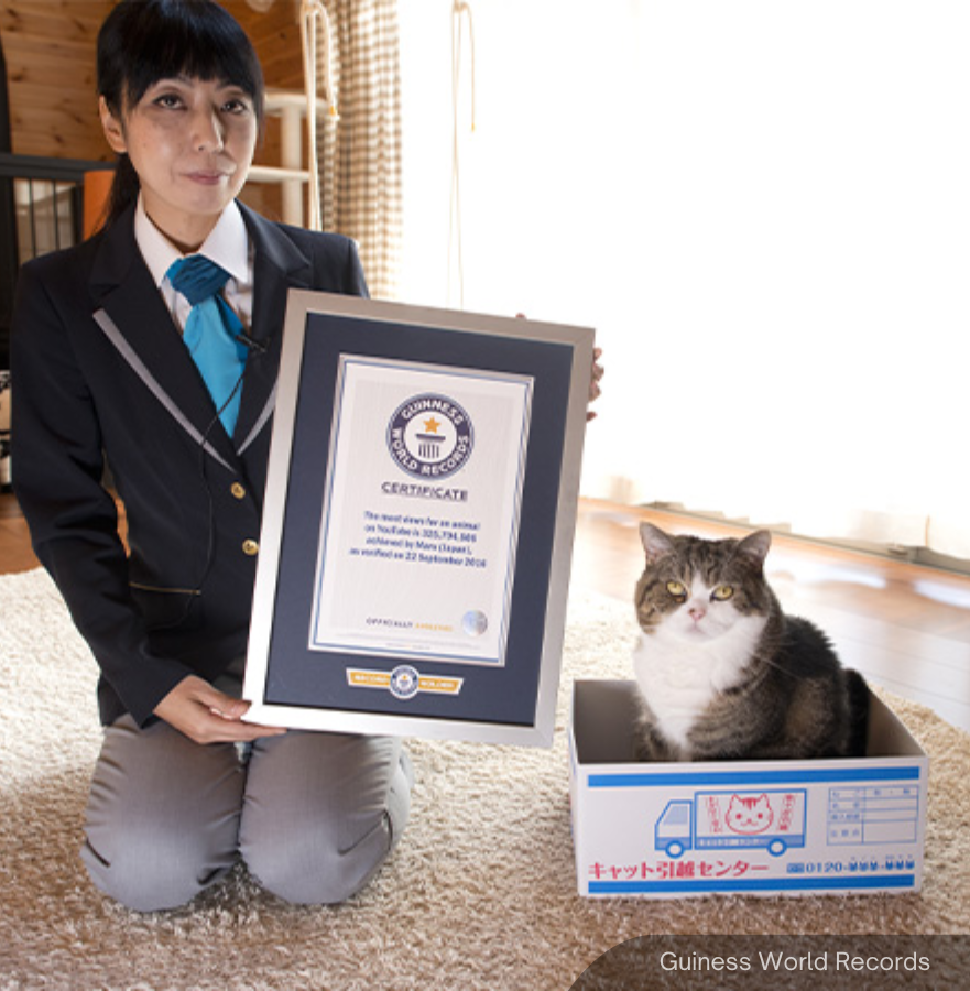 NewsBFM's tweet photo. Maru, the cat who once held the Guinness World Record as the most-viewed animal on YouTube, has died on Sept 6.

The 18-year-old Scottish Fold was recently diagnosed with lung adenocarcinoma, a form of cancer, and his health declined rapidly shortly after.

🧵1 https://t.co/OKBGrPVM86