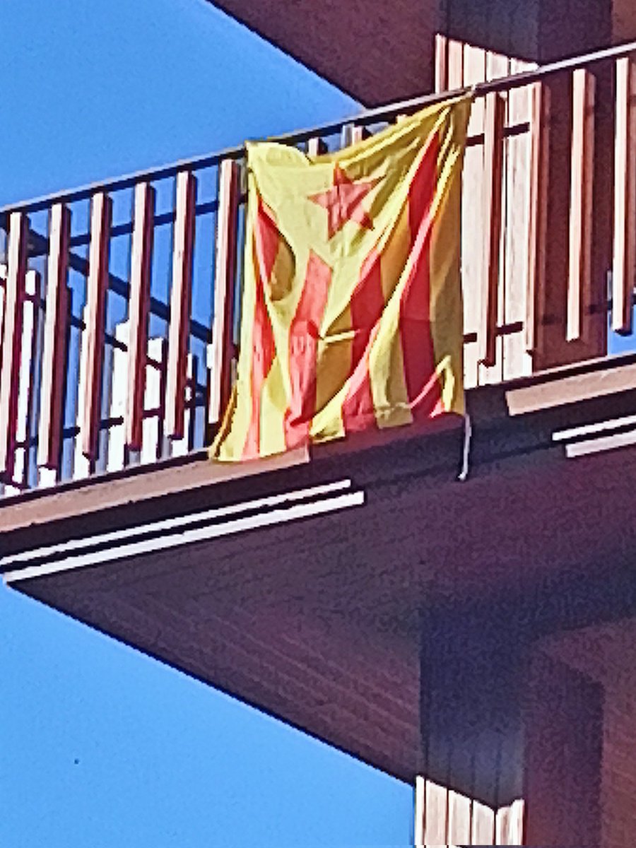 Carmina Castellví tweet media