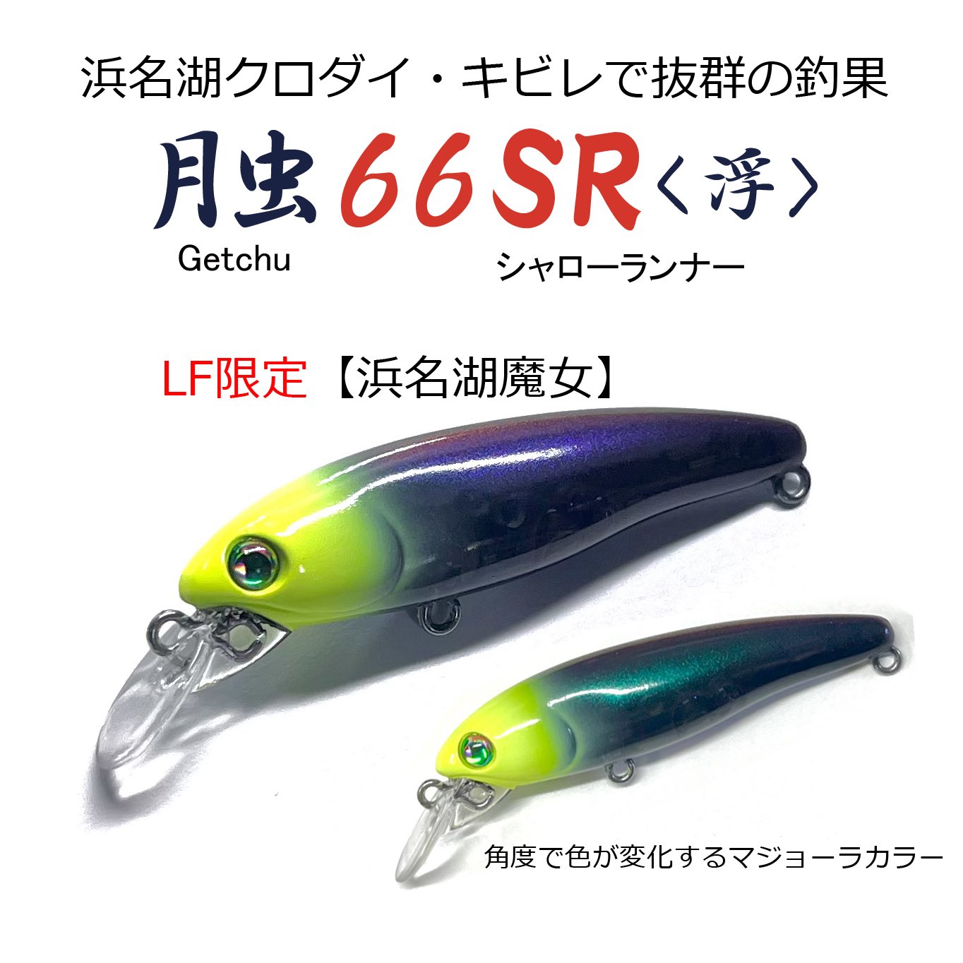 ハルシオンシステム ペニーサック モッカ ハロウィン 限定 ハルシオンシステム ペニーサック モッカ ハロウィン 限定 全13