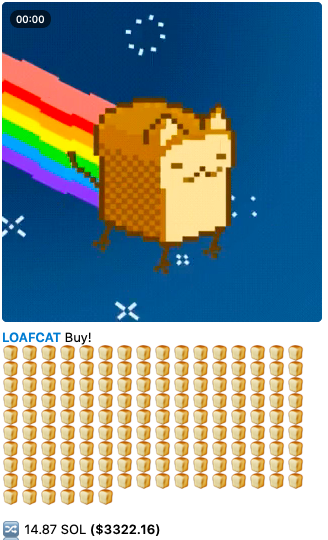 LOAFCAT (CTO) (@loafcathq) on Twitter photo 