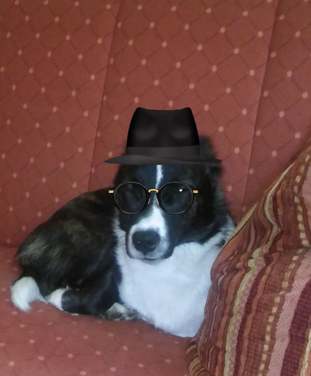 Minister Charlie +Assistentinnen tweet media