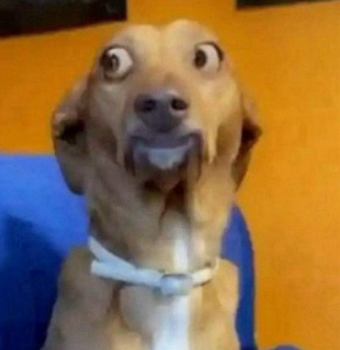 Me staring at my IRL th1nsp0 coworker but I’m trying not to make it obvious