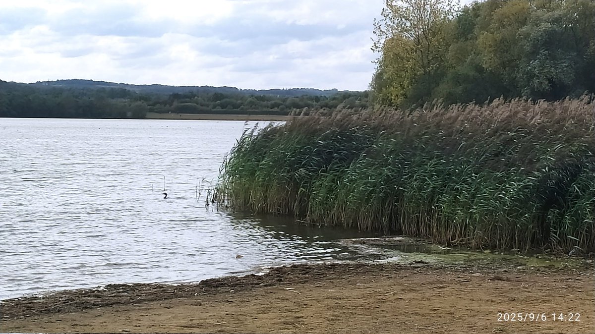 GONNAGROOVE's tweet photo. Pugneys lake. Wakefield. Finding great places to visit. https://t.co/ZfVRiwB0T5