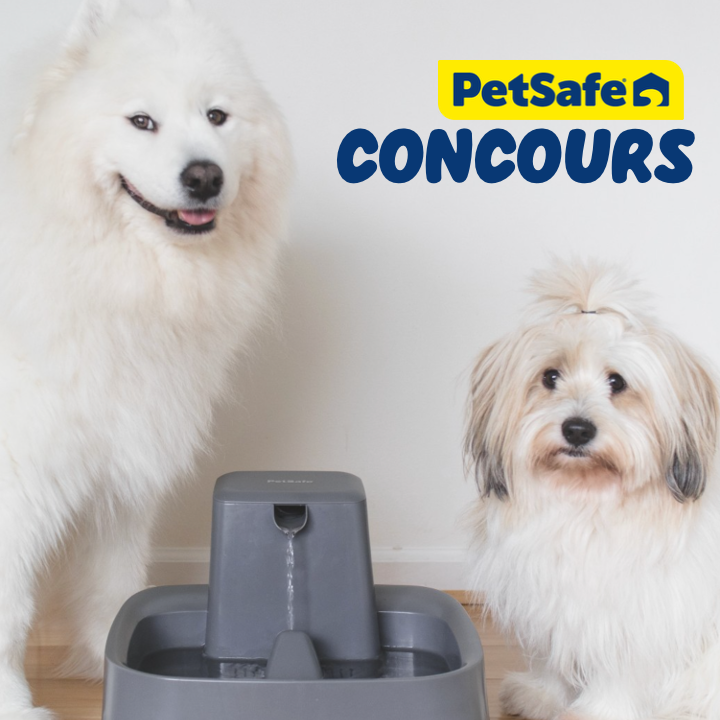 #Follow &amp; #Retweet <a href="/PetSafeFR/">PetSafe® France</a> - Votre animal s'hydrate-t-il comme il faut ? Offrez lui une Fontaine de 3,7 litres Drinkwell pour une santé au top ! 
1 gagnant sera désigné par TAS le 17 septembre 2025.

*Concours réservé à la 🇫🇷 &amp; à la 🇧🇪 Bonne chance à tous !