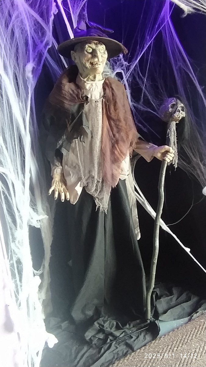 GONNAGROOVE's tweet photo. Getting near Halloween. Pics from Blackpool recently. https://t.co/QTP2RMZux3