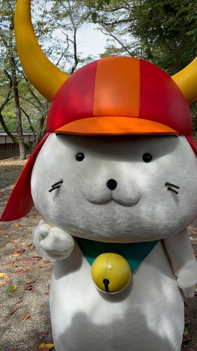 本日も #ひこにゃん 殿はまったりお散歩を楽しんでおられたでござる