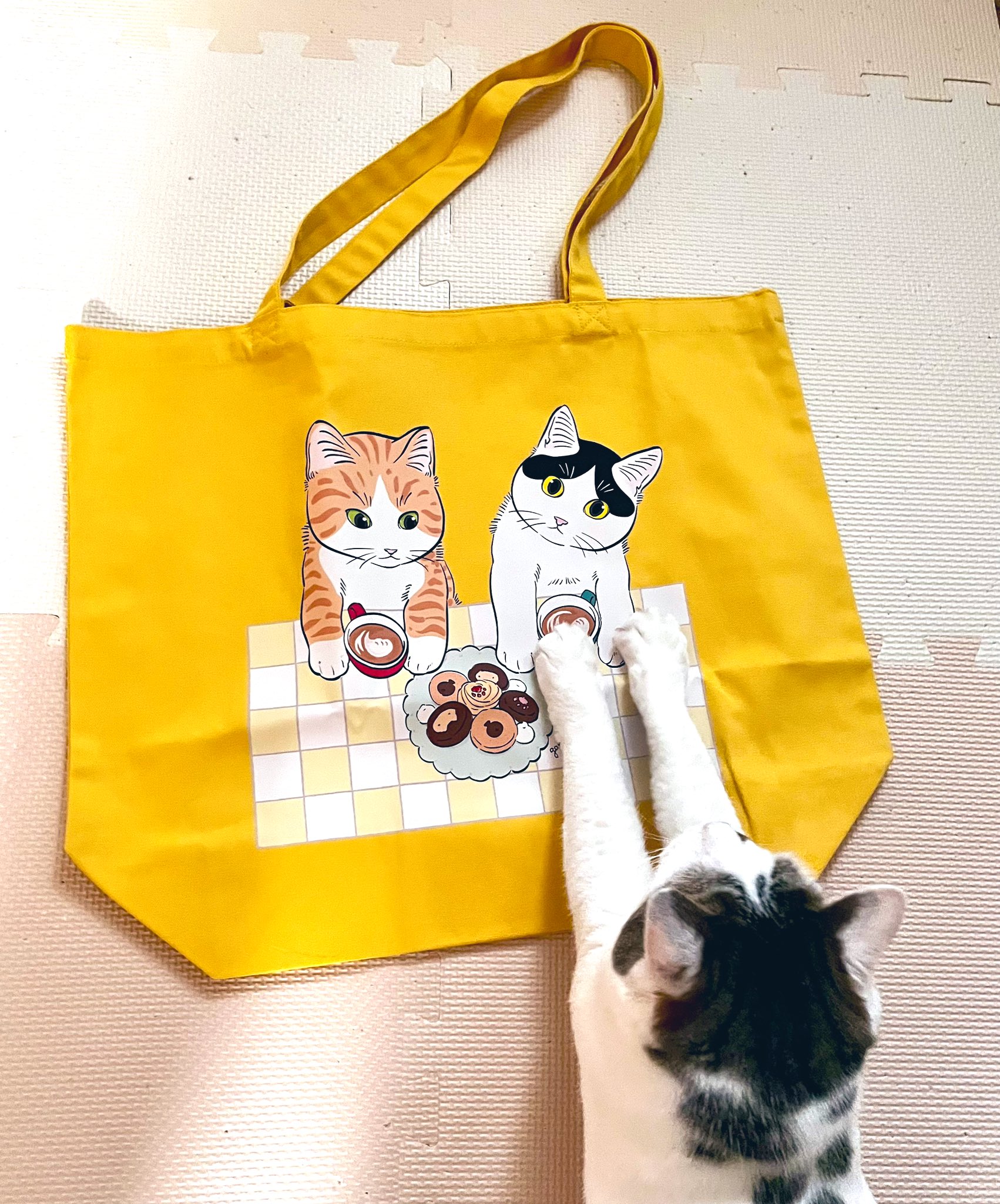 元祖ふとねこ堂 on X: 