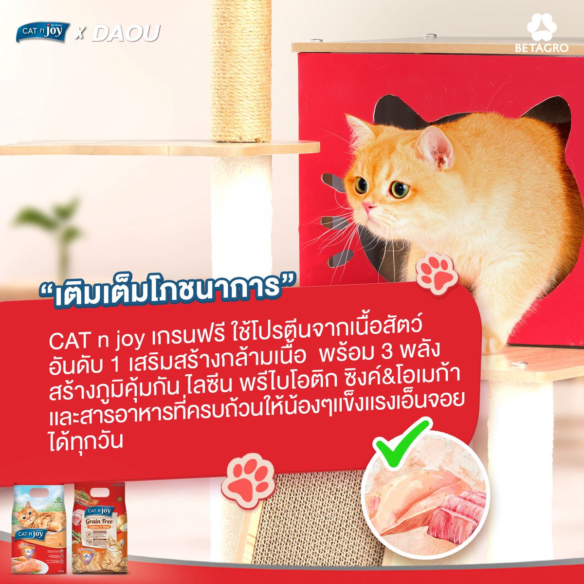 CAT n joy สูตร Grain Free เสริมภูมิคุ้มกันด้วย 3 พลังปกป้อง 
ปราศจากธัญพืช 100%
โปรตีนจากเนื้อสัตว์อันดับ 1 
สารอาหารครบถ้วน ตามโภชนาการ
ควบคุมความเค็ม ลดความเสี่ยงโรคไต
มาพร้อม 2 รสชาติความอร่อย รสแซวมอนและทูน่า และ ไก่และทูน่า