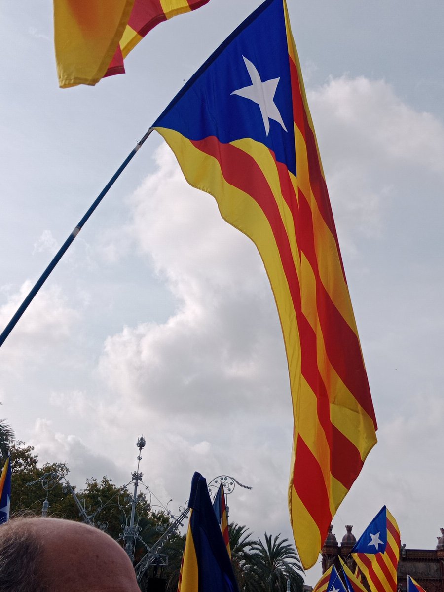 "Al fossar de les moreres
no s'hi enterra cap traïdor;
fins perdent nostres banderes
serà l'urna de l'honor."

Bona i combativa diada!