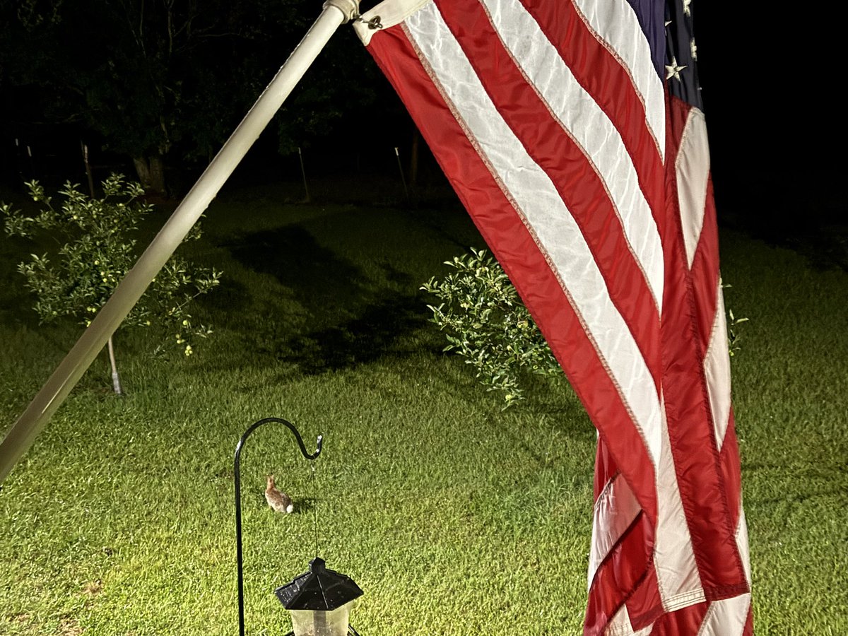 John Morgan tweet media