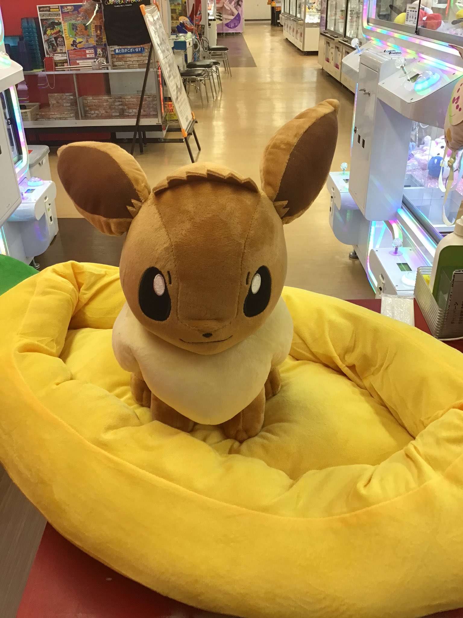 GiGO MEGAドン・キホーテ函館 (@GiGO_Hakodate) / X