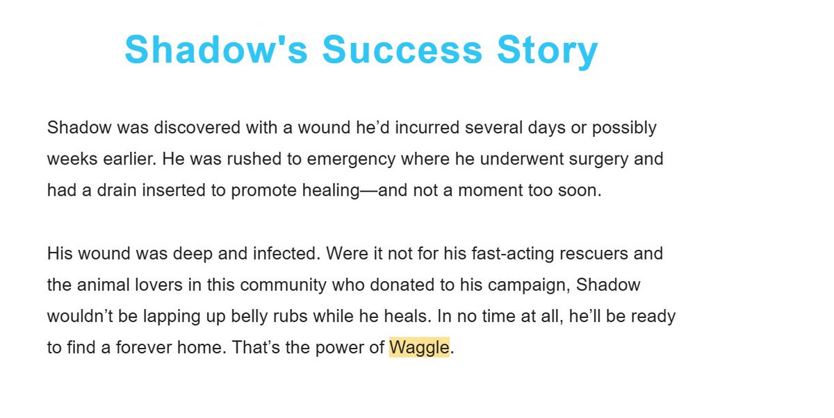 AeroBudCoin's tweet photo. Meet Shadow 🌑 - a belly-rub loving Bud who received life-saving surgery just in time.

With the help of our community and Waggles, we were able to make a difference through @Base for animals just like Shadow. So let's make more success stories together. https://t.co/MAAbIMQL1B