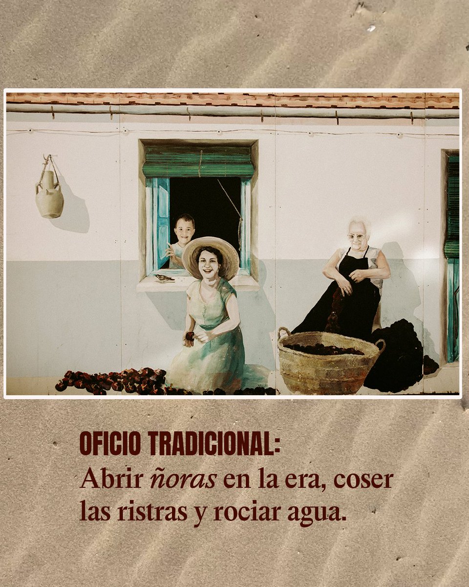 Sol, arena y sabor son los componentes del “Oro Rojo” de la comarca, la ñora de #GuardamardelSegura ❤️. 
Su proceso de secado artesanal en la arena dunar la hacen única.
Un imprescindible en la gastronomía de la #VegaBajadelSegura y provincia de #Alicante😋
<a href="/GuardamarTurism/">Guardamar Turisme</a>