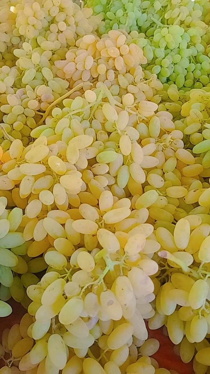 How do you call this fruit in your language?