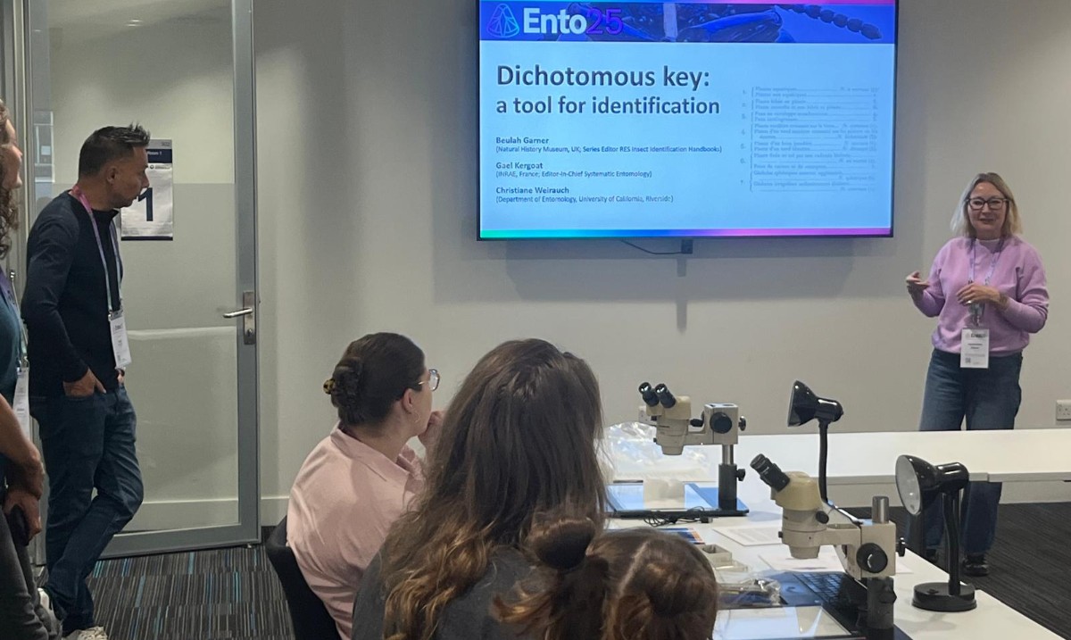 RoyEntSoc's tweet image. It's the final day of #Ento25 and our workshops on #InsectDrawing and #InsectIdentification are in full swing 🐞

We have @EmilyCarterLdn this morning for a creative #InsectArt workshop &amp;amp; @thiswordistaken @NHM_London &amp;amp; RES Editors showing delegates how to use #IdentificationKeys.