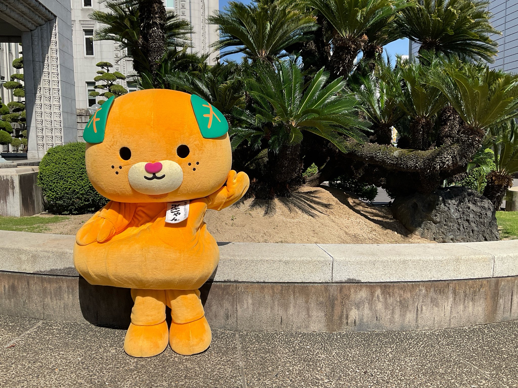 みきゃん様 みきゃん【公式】《愛媛県イメージアップキャラクター