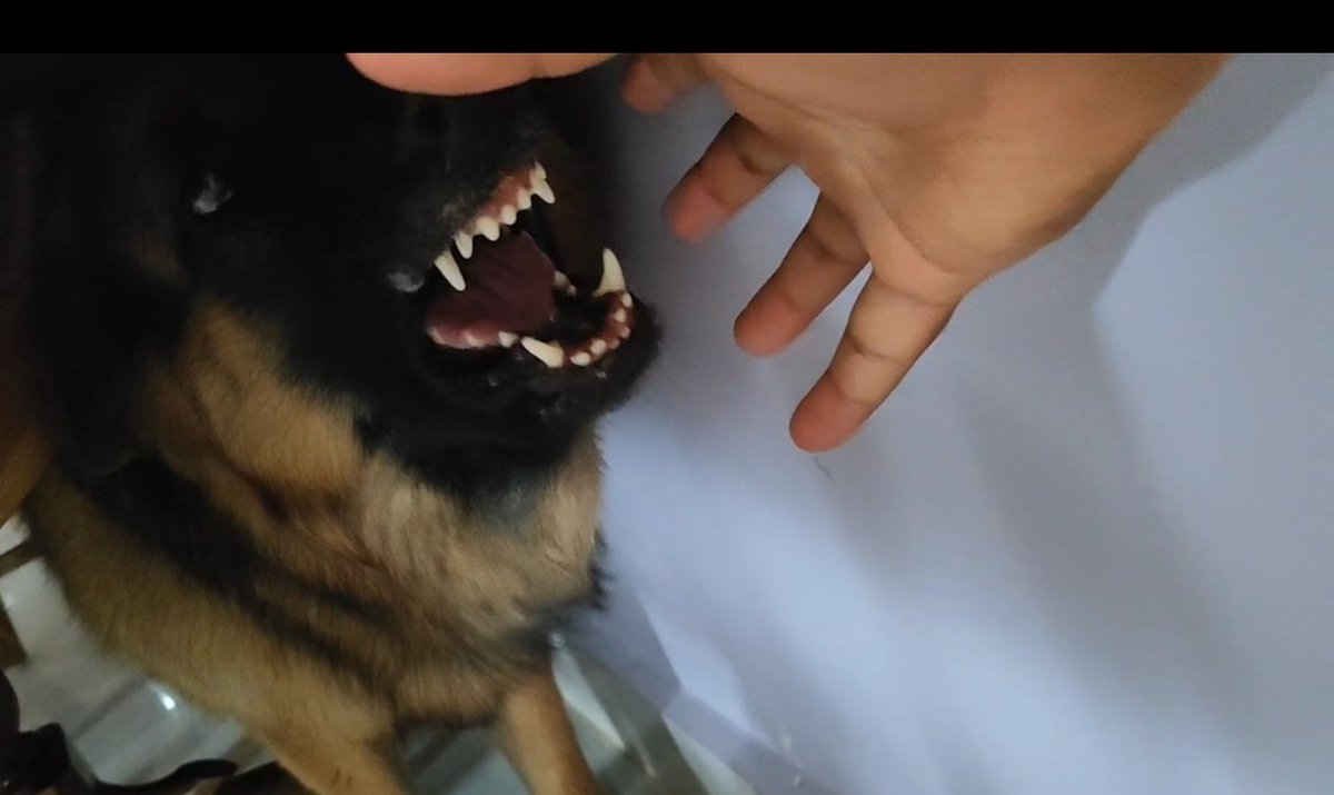 GM everyone 
seems like it's over for me 🐕‍🦺🙂