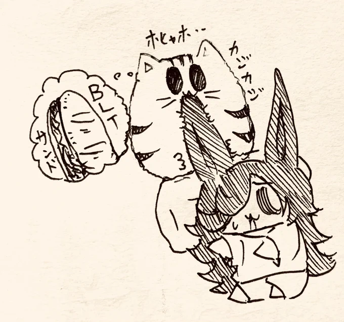 昼寝してたらもち虎さんに耳をかじられる半ライス🍚🐯 