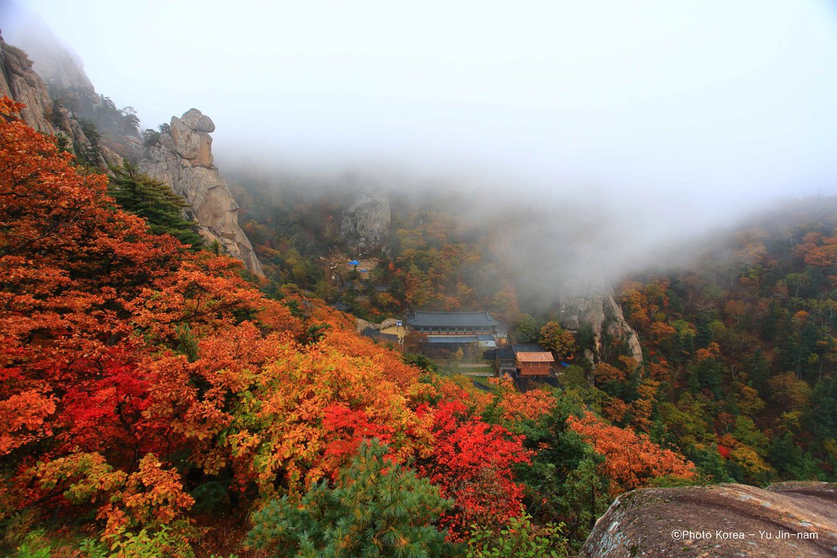 KoreanTravel's tweet photo. Fall foliage forecast for 2025 is out!🍂🍁
Click the link below to find the fall foliage forecast and plan your perfect autumn trip in Korea.🥰👇
💠Travel News: https://t.co/FAyxzTwvi1
📸 ⓒPhoto Korea - Lee Jae-sun, ⓒPhoto Korea - Yu Jin-nam
#visitkorea #koreatravel #fall #falldestinations #autumninkorea #fallinkorea #seoulfallfoliage #fallfoliageforecast