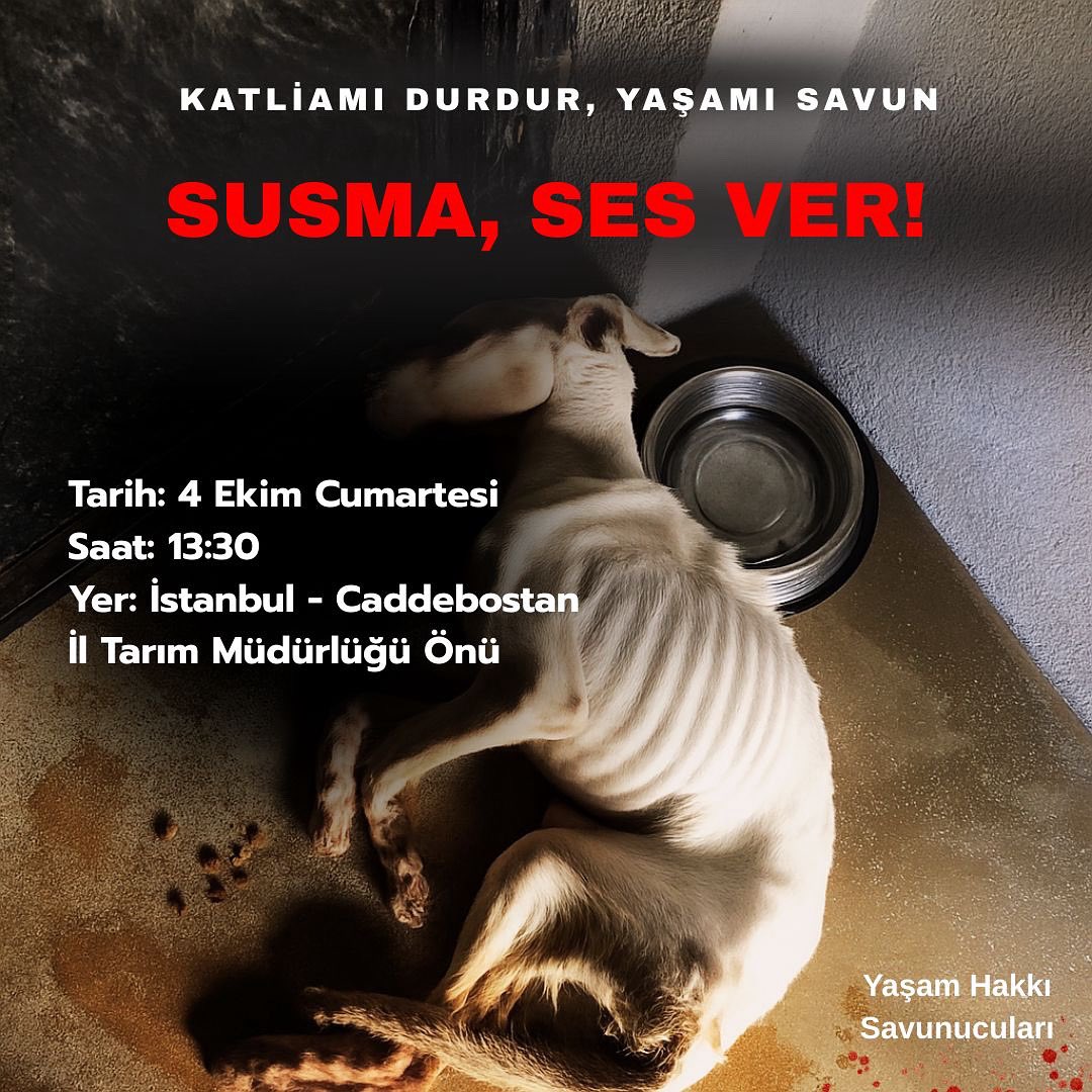 Masum hayvanlarımızın Esaretine , Zulmüne , Ölümlerine SUMAYACAĞIZ ! 

4 Ekim Dünya Hayvanları Koruma Gününde ; Yaşam Hakkı Ellerinden alınan Sokak Hayvanlarımız için ; 

TEK SES ! 
TEK YÜREK ! 

📅 4 Ekim 

🕣 13:30 

📍 Caddebostan - İl Tarım Orman Müdürlüğü önünde BULUŞUYORUZ!