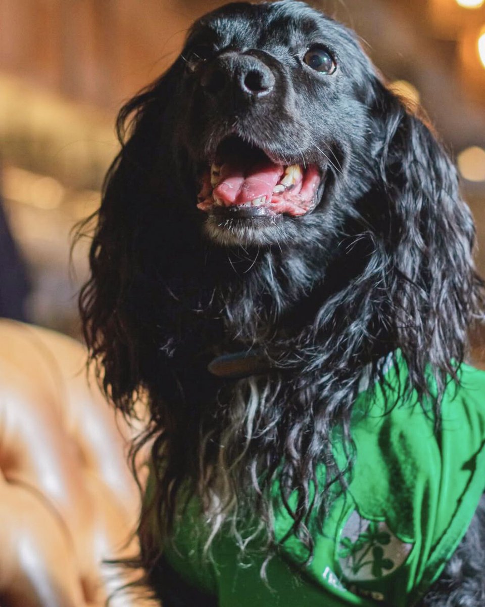 The Castle, Tooting tweet media