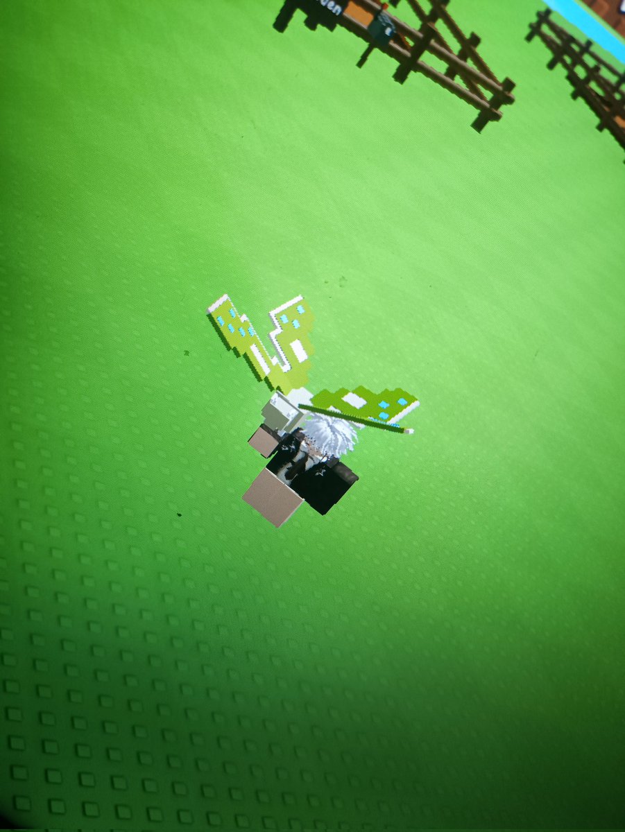 razenhiro's tweet image. wts butterfly (mw pensi main gag)
ak jual murah aja guys!
inverted butterfly 28k base 1,9kg;
butterfly 30k base 2,6kg!
yuk, bisa dm aku...