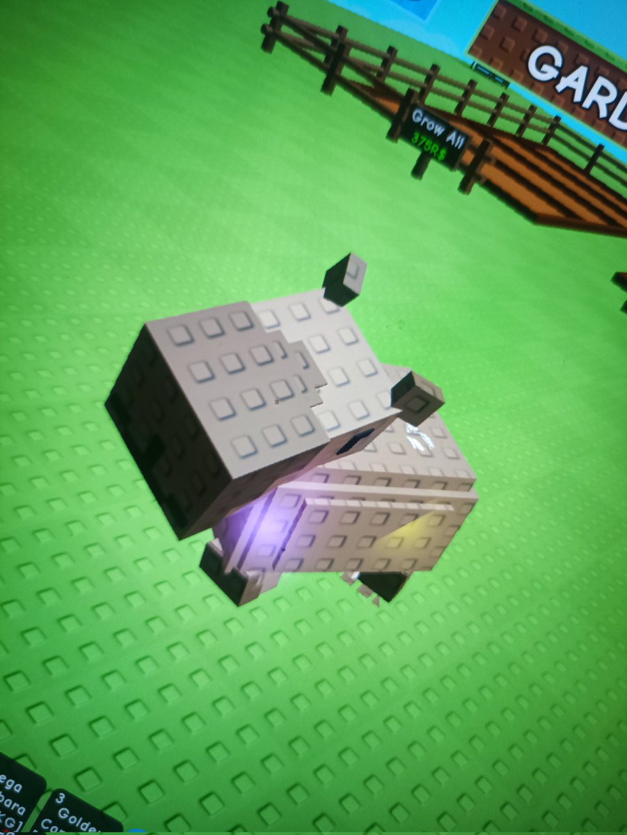 razenhiro's tweet image. wts rainbow pets (mw pensi gag)
rainbow spinosaur 70k bisa nego 👋
rainbow capy age tua, 35k/ea guys!
base 2kg semua yaaap ❗❗