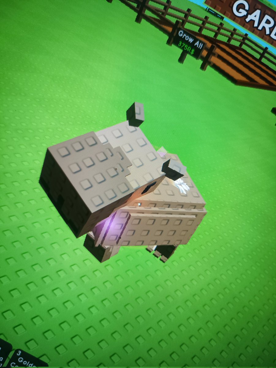 razenhiro's tweet image. wts rainbow pets (mw pensi gag)
rainbow spinosaur 70k bisa nego 👋
rainbow capy age tua, 35k/ea guys!
base 2kg semua yaaap ❗❗