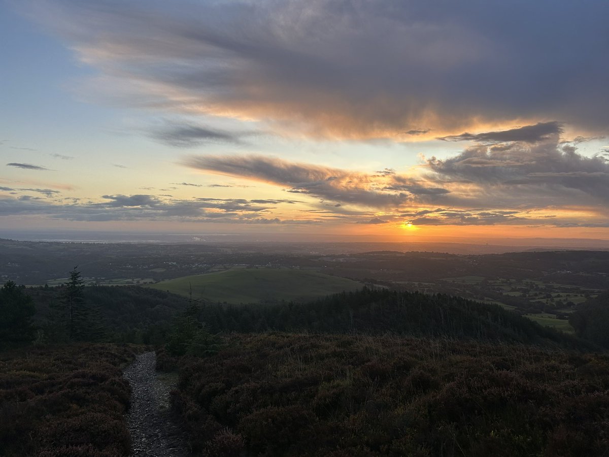 Paul Fitzsimmons tweet media