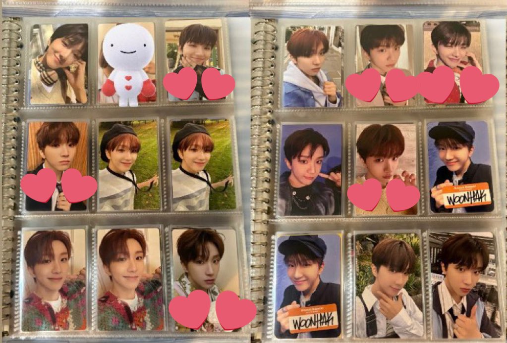 かぼちゃ🌱🐈 tweet media