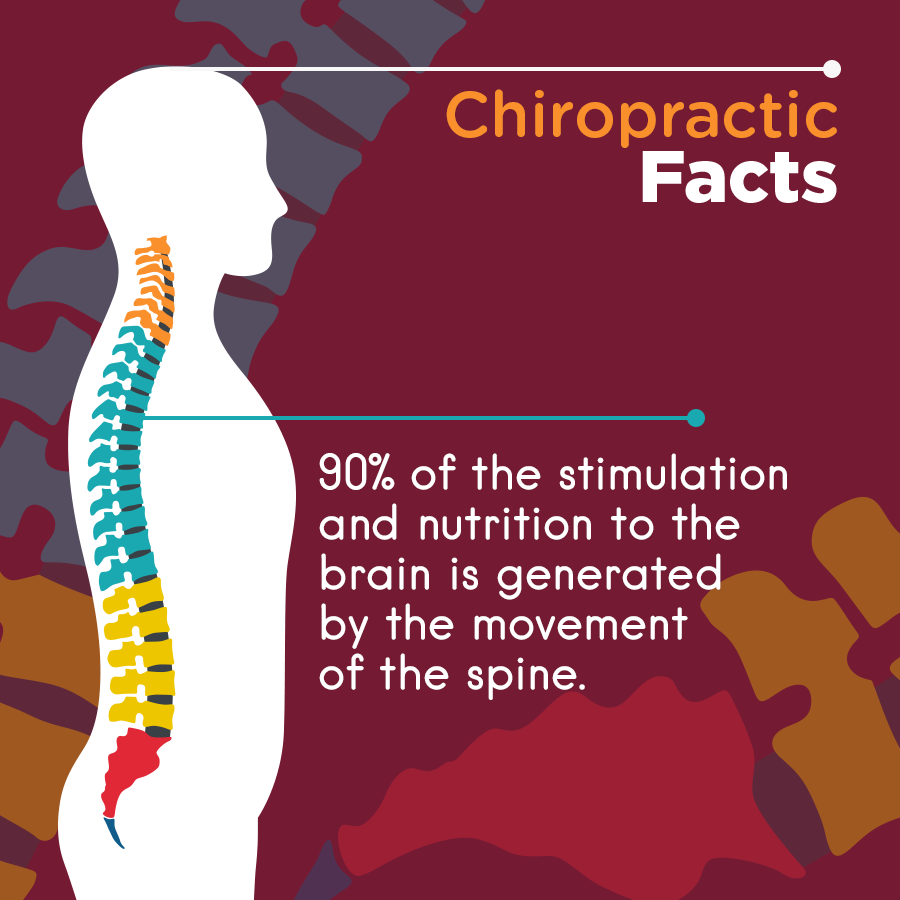 Make sure you move every day!  Spend some time standing, sitting, and walking around to improve circulation and brain health.