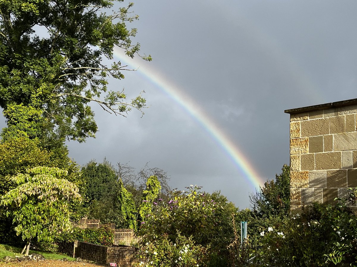 A fair light over Fairlight this morning