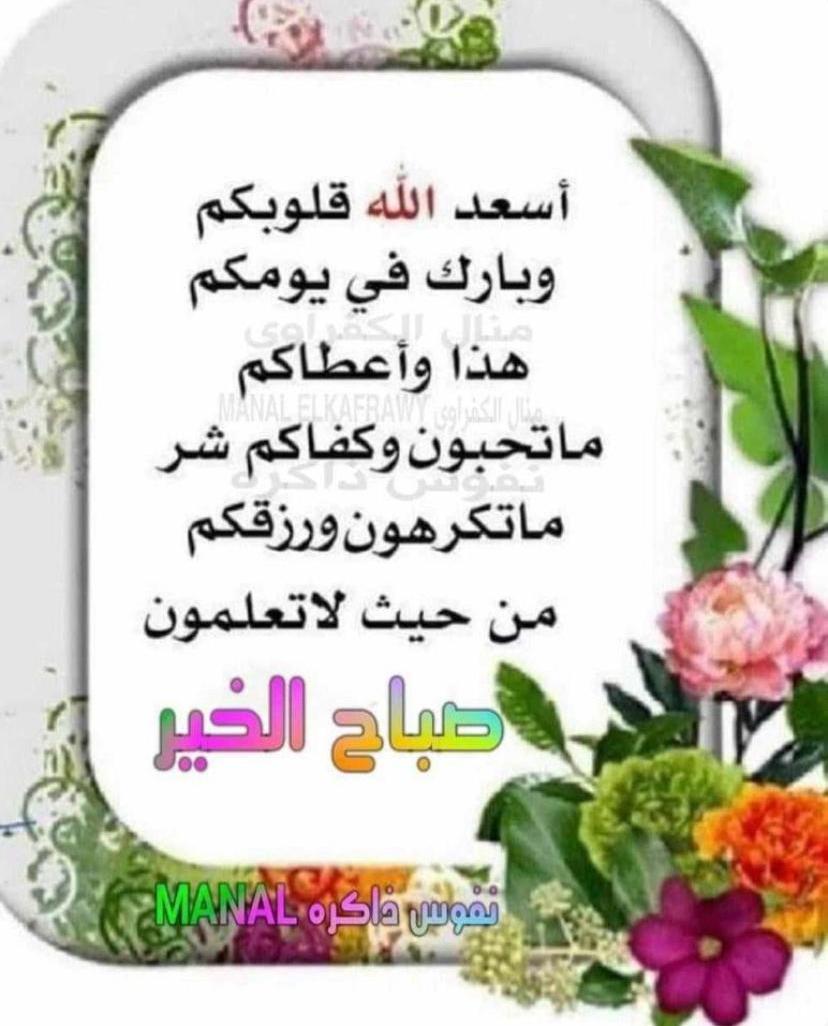 فتحي محمود (@fmhmwd83572) on Twitter photo 