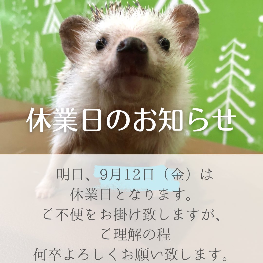 明日、9月12日（金）は休業日となります。 ご不便をお掛け致しますが