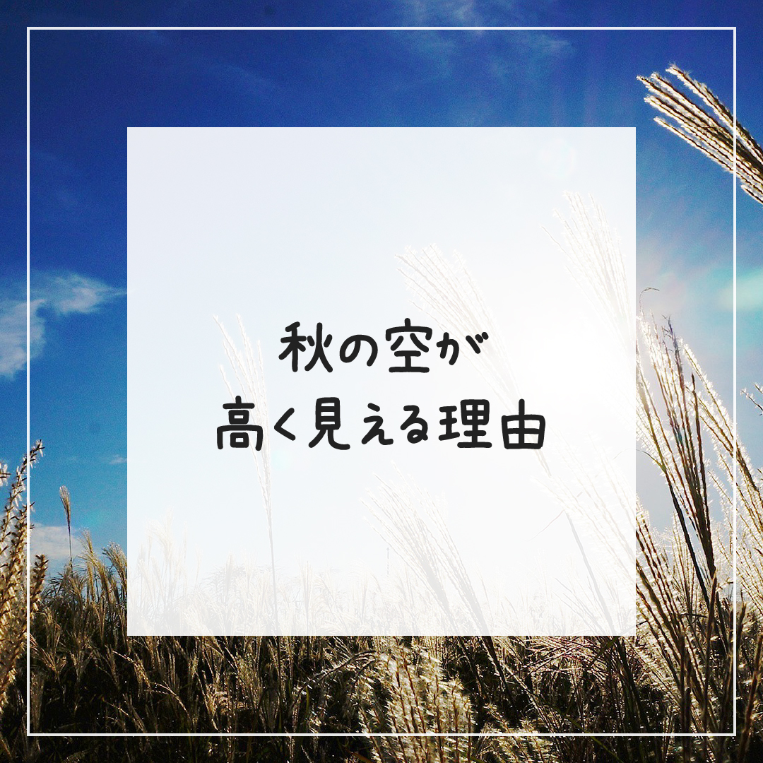 Yoitas_official's tweet photo. ┃秋の空が
┃高く見える理由

「天高く馬肥ゆる秋」ということわざがありますが、なぜ秋の空は高く見えるのでしょうか？
https://t.co/gUj6W90WHH

#秋 #秋🍁 #秋空 #秋の空 #秋晴れ #豆知識 #雑学 #今日の雑学 #今日は何の日 #ヨイタス #Yoitas https://t.co/Fw7mMl5Epi