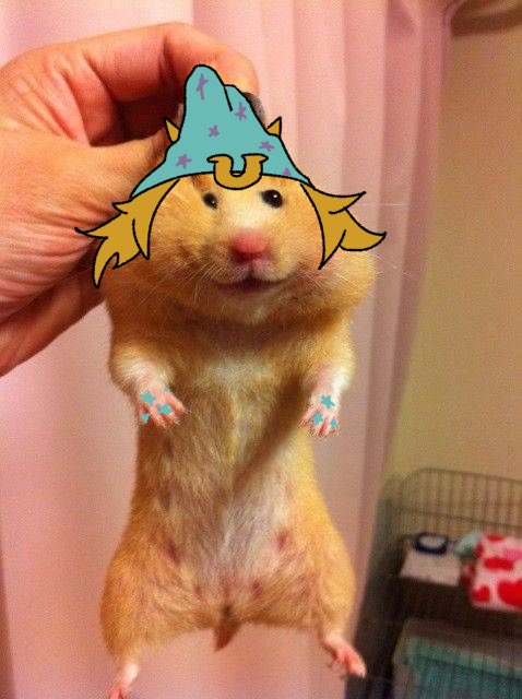 shinsetsu_mushi's tweet image. #SBR