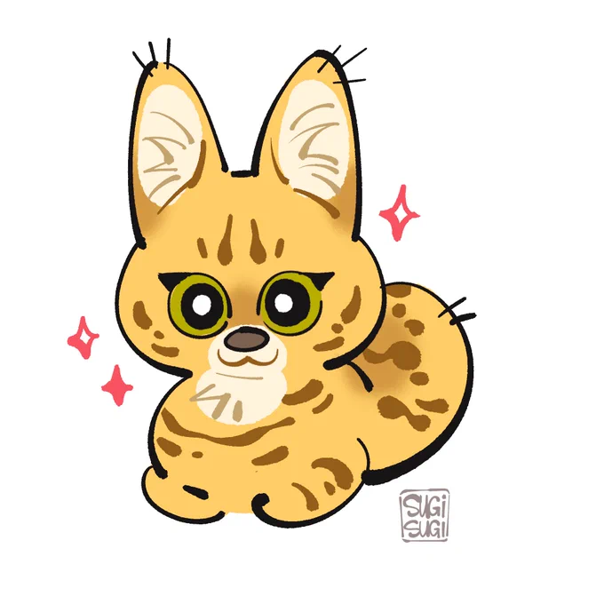 Draw a photo~