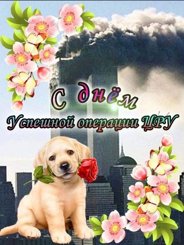 ᛉ (@peacefulsnow666) on Twitter photo 