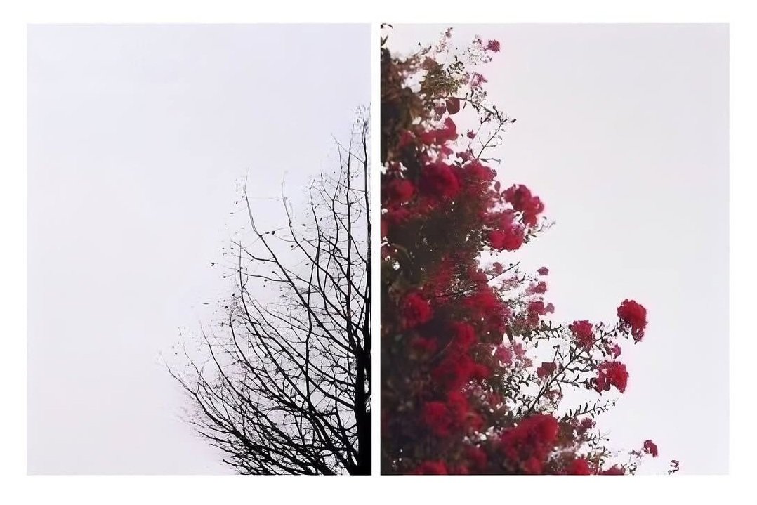 نفس الشجرة ولكن مواسم مختلفة

تذكر أن كل شيء مهما كان طارئ